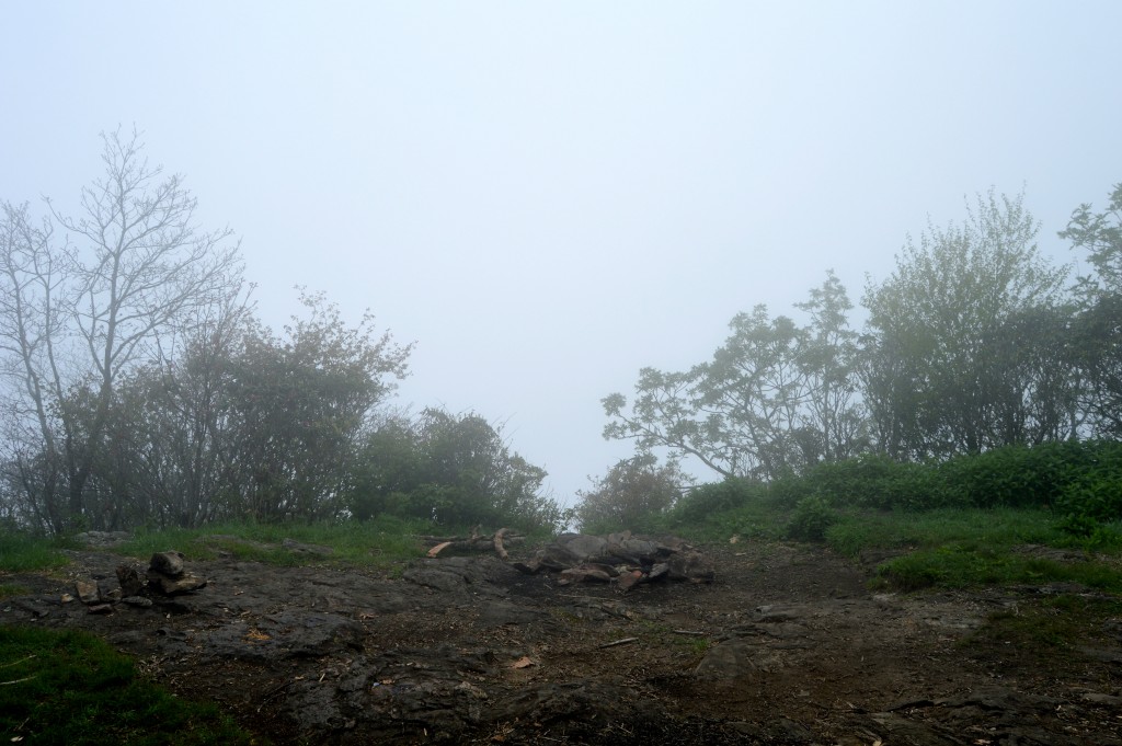 Our foggy view from Standing Indian Mountain