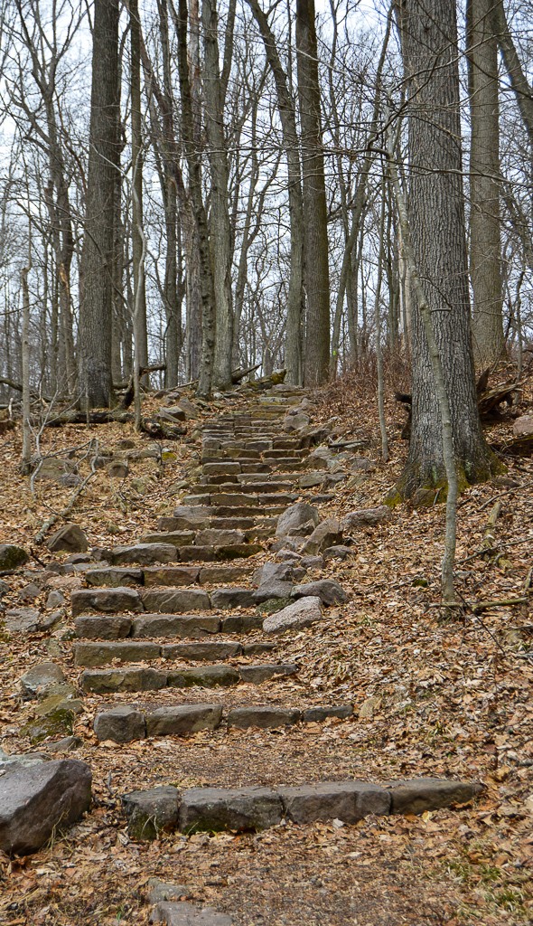 Paved stairs on the trail